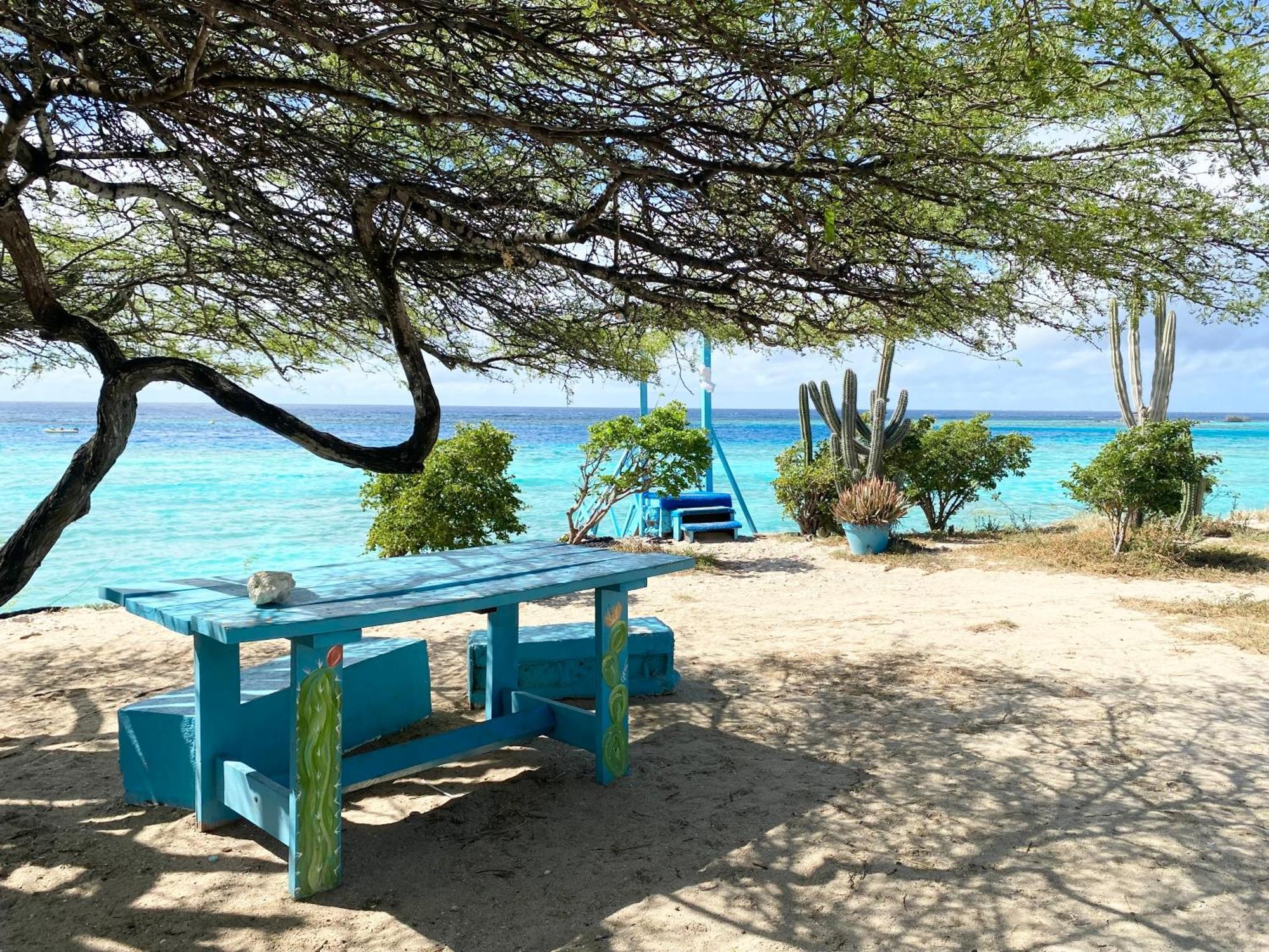 Casa Azure Aruba Villa Palm Beach Eksteriør billede